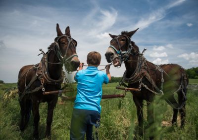 FARMING & FOOD